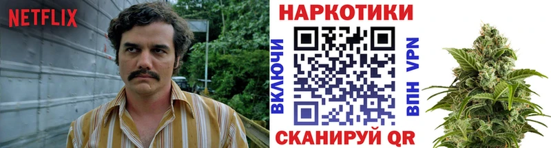 Что такое Чекалин Кокаин  Конопля  Мефедрон  A-PVP  mega   ГАШ  АМФЕТАМИН 
