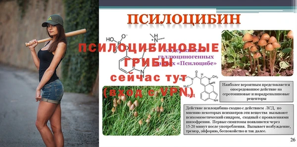 мескалин Баксан