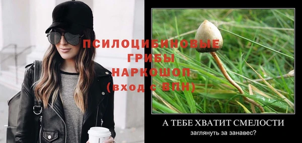 мескалин Баксан
