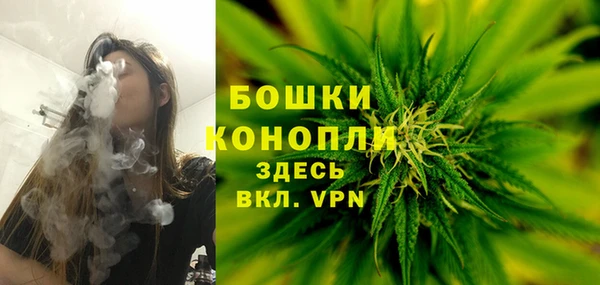 мдпв Пересвет