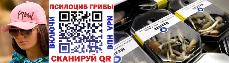 Псилоцибиновые грибы прущие грибы  кракен вход  Чекалин 